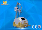 الصين Cryo Fat Dissolved Weight Loss Coolsculpting Cryolipolysis Machine مصنع